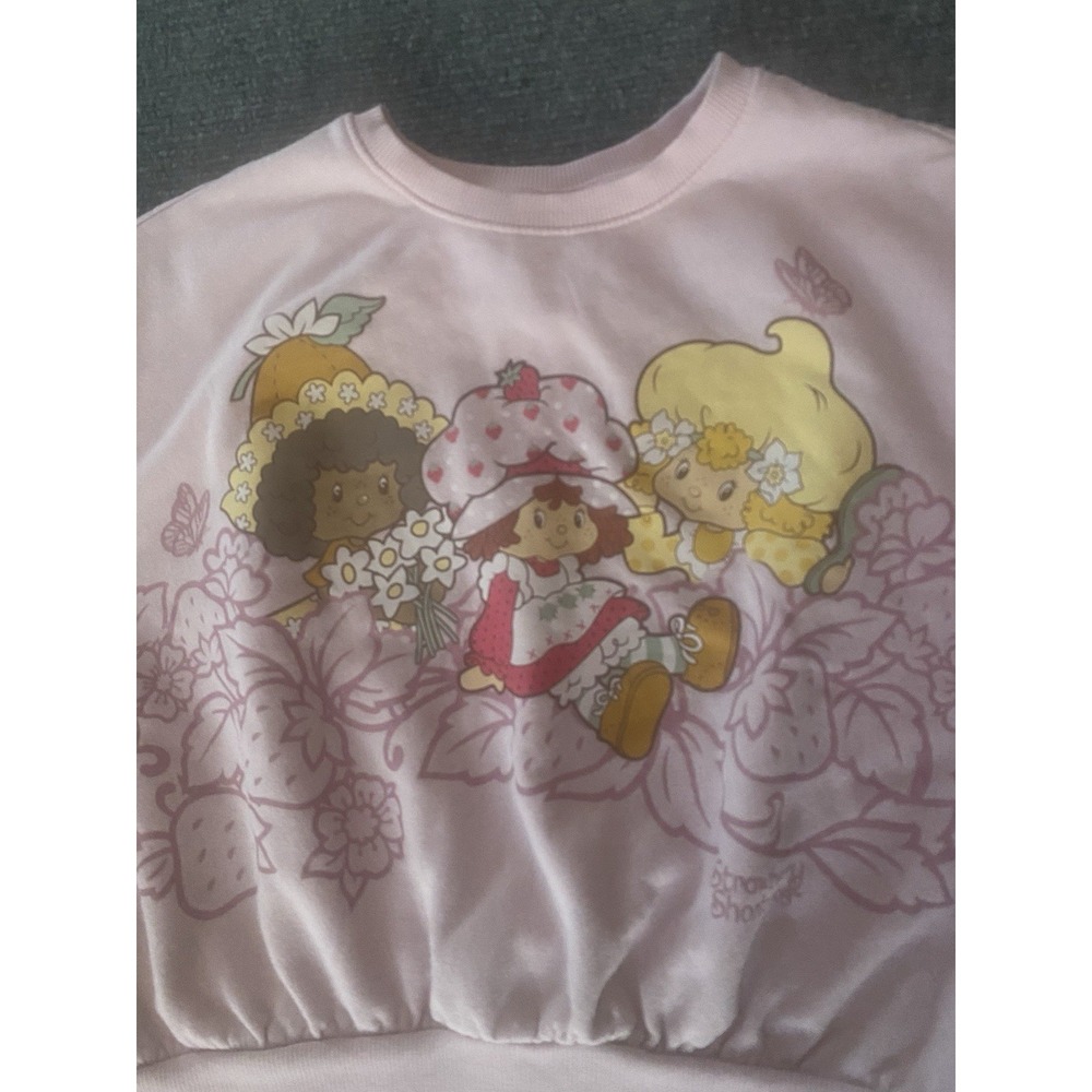 Strawberry Shortcake Characters Girls Pink Pullover Sweatshirt L (10/12)